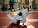 Mistrzostwa Polski w Judo Juniorw