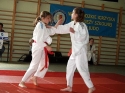 Fina Wojewdzki Igrzysk Modziey Szkolnej w Judo