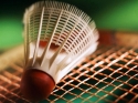 Badminton w Gminie Puck