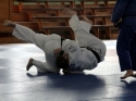Judo, turnieje i szkolenie
